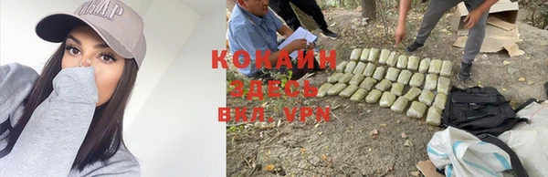 гашик Фёдоровский