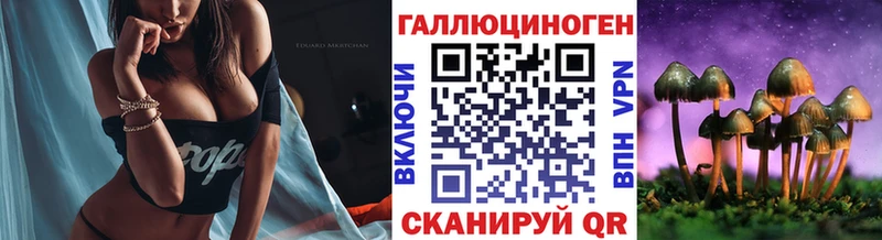 Псилоцибиновые грибы Psilocybine cubensis Купить Протвино